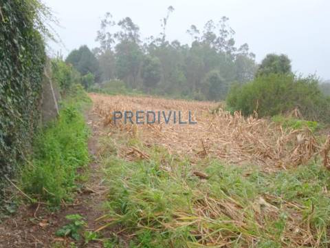 Terreno Misto  Venda em Vilar e Mosteiró,Vila do Conde