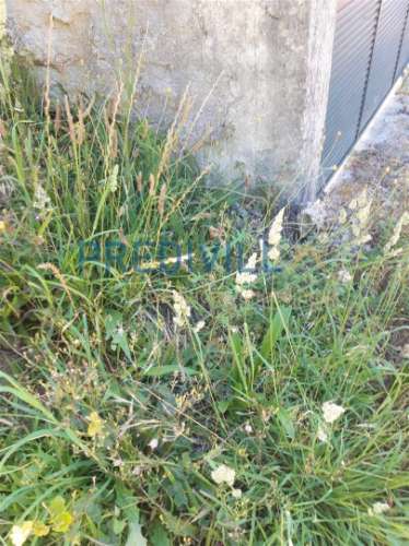 Terreno Rústico  Venda em Antas,Esposende