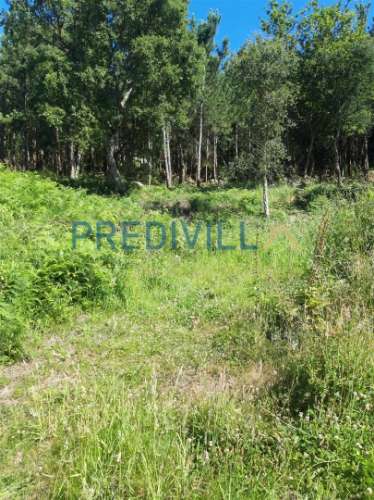 Terreno Rústico  Venda em Antas,Esposende