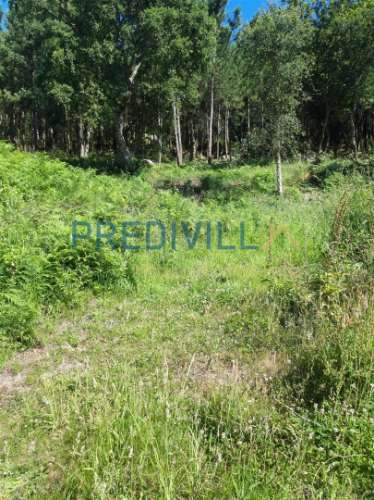 Terreno Rústico  Venda em Antas,Esposende