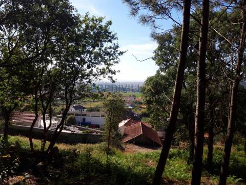 Terreno Rústico  Venda em Antas,Esposende