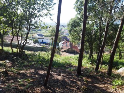 Terreno Rústico  Venda em Antas,Esposende