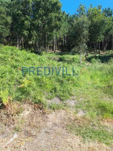 Terreno Rústico  Venda em Antas,Esposende