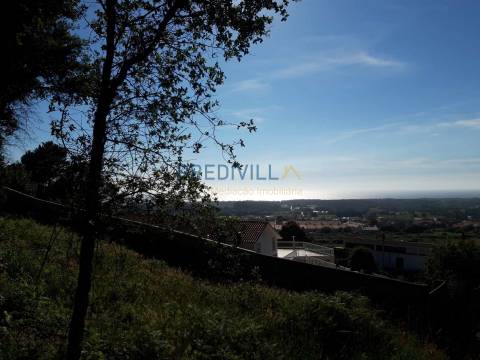 Terreno Rústico  Venda em Antas,Esposende