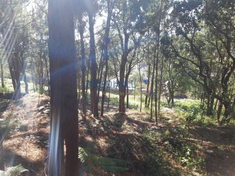 Terreno Rústico  Venda em Antas,Esposende