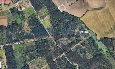 Terreno Rústico  Venda em Vilar e Mosteiró,Vila do Conde
