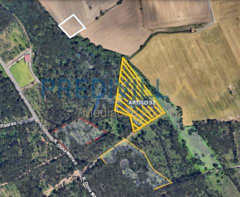 Terreno Rústico  Venda em Vilar e Mosteiró,Vila do Conde