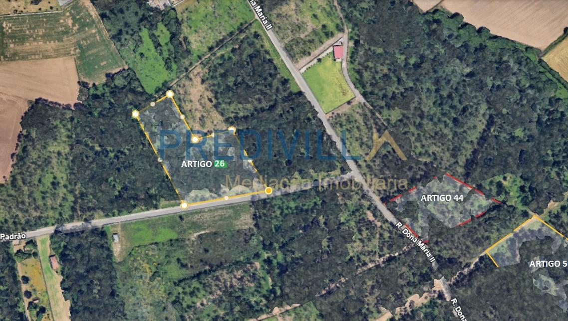 Terreno Rústico  Venda em Vilar e Mosteiró,Vila do Conde