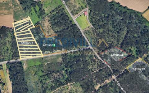 Terreno Rústico  Venda em Vilar e Mosteiró,Vila do Conde