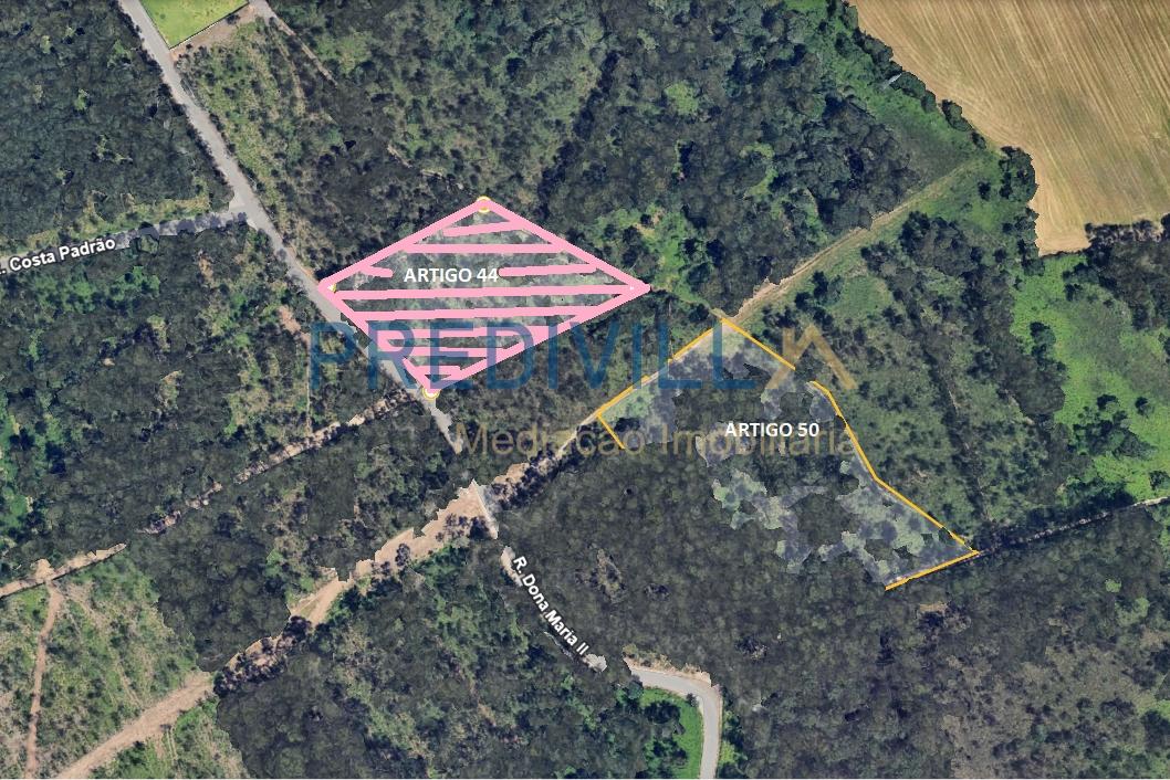 Terreno Rústico  Venda em Vilar e Mosteiró,Vila do Conde