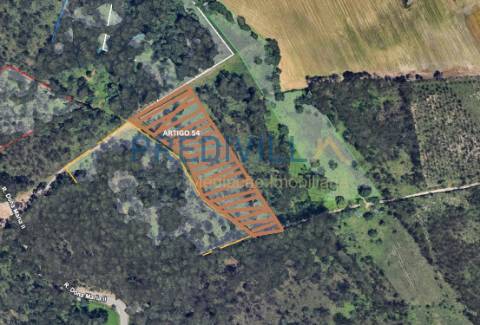 Terreno Rústico  Venda em Vilar e Mosteiró,Vila do Conde