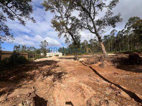Terreno  Venda em Vilar e Mosteiró,Vila do Conde