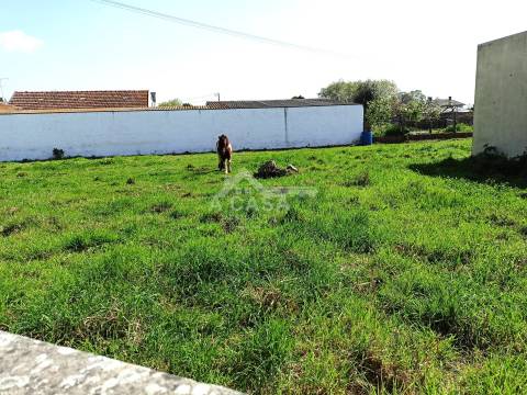 Terreno para construção com 1014 m2 e cerca de 45 m de frente em Pardilhó