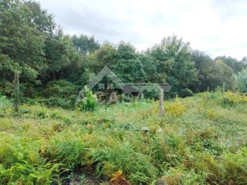 Quinta com 14.400 m2 em Arrifana