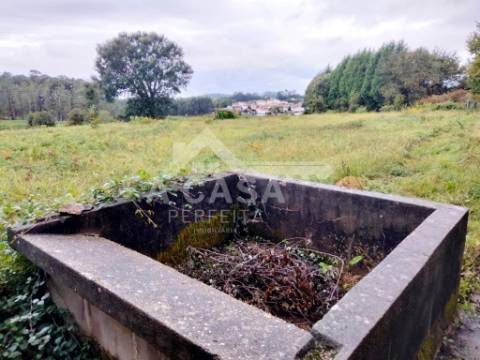 Quinta com 14.400 m2 em Arrifana