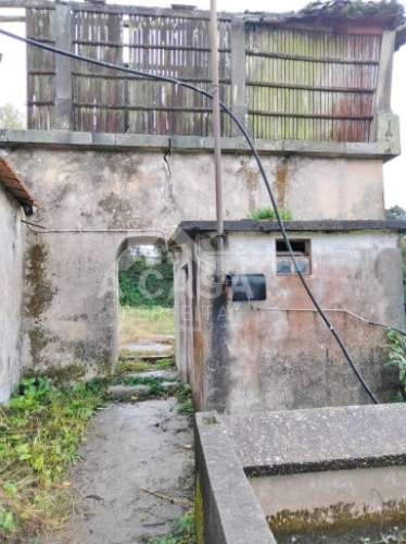 Quinta com 14.400 m2 em Arrifana