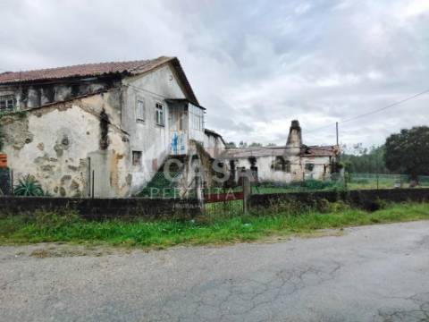 Quinta com 14.400 m2 em Arrifana