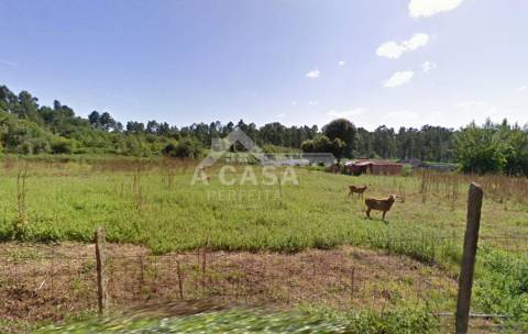 Quinta com 14.400 m2 em Arrifana