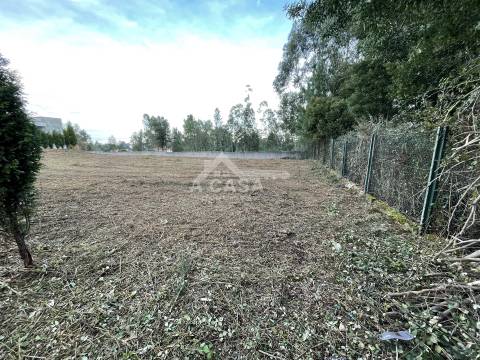 Terreno para construção de 1200 m2 e cerca de 25 m de frente em Fiães