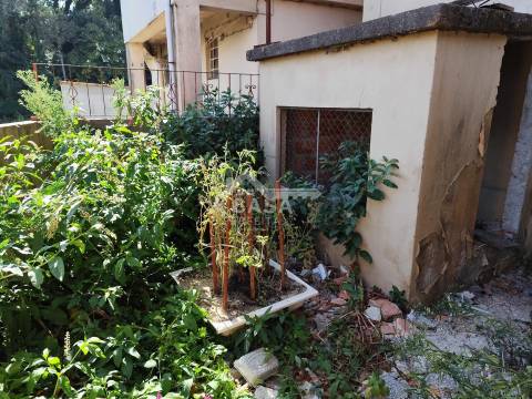 Moradia T3 Isolada para restauro de 2 pisos, garagem para 1 carro e anexo em Macieira de Sarnes