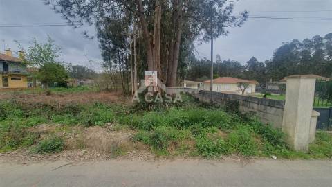 Terreno para construção de 5.300 m2 com 2 frentes em São Martinho da Gândara