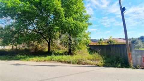 Terreno para construção de 5.300 m2 com 2 frentes em São Martinho da Gândara