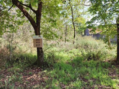 Terreno para construção de 5.300 m2 com 2 frentes em São Martinho da Gândara