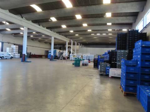 Armazém com 2.790 m2 para venda ou possibilidade de arrendamento em São Miguel do Souto