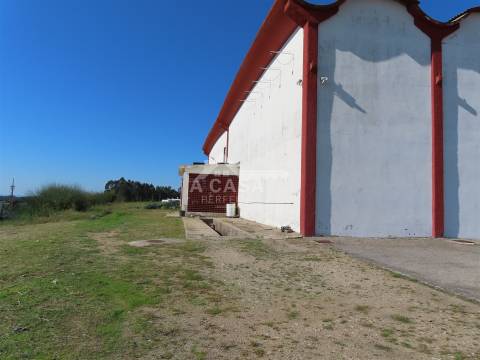 Armazém com 2.790 m2 para venda ou possibilidade de arrendamento em São Miguel do Souto