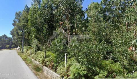 Terreno com viabilidade de construção de moradias com 3800 m2 e 47 m de frente em Souto