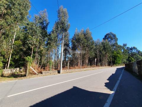 Terreno com viabilidade de construção de moradias com 3800 m2 e 47 m de frente em Souto