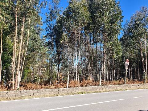 Terreno com viabilidade de construção de moradias com 3800 m2 e 47 m de frente em Souto
