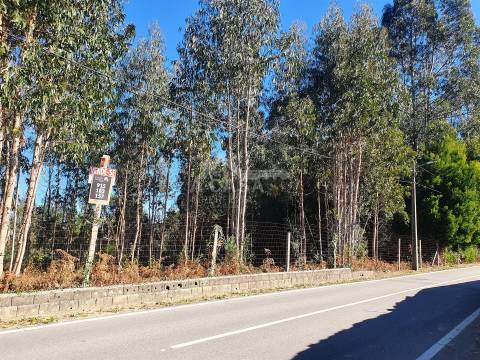 Terreno com viabilidade de construção de moradias com 3800 m2 e 47 m de frente em Souto