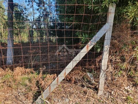 Terreno com viabilidade de construção de moradias com 3800 m2 e 47 m de frente em Souto