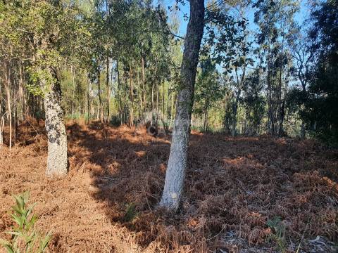 Terreno com viabilidade de construção de moradias com 3800 m2 e 47 m de frente em Souto