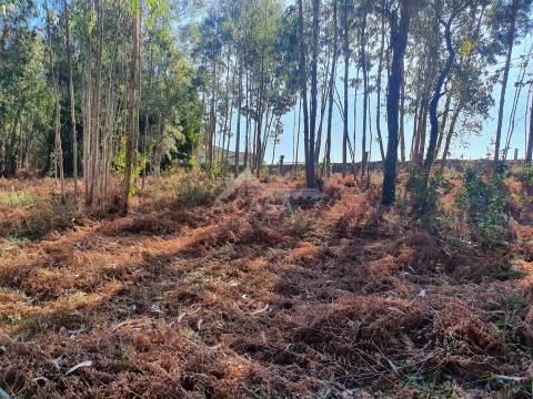 Terreno com viabilidade de construção de moradias com 3800 m2 e 47 m de frente em Souto
