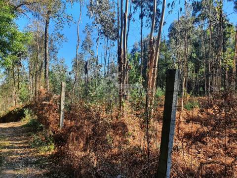 Terreno com viabilidade de construção de moradias com 3800 m2 e 47 m de frente em Souto
