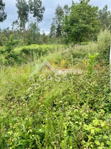 Terreno para construção em Arada