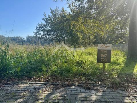 Terreno para construção de 1215 m2 com 16 de frente em São Martinho da Gândara
