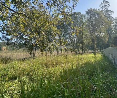 Terreno para construção de 1215 m2 com 16 de frente em São Martinho da Gândara