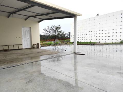 Moradia geminada T2 térrea toda remodelada com anexos e terreno - São Vicente de Pereira Jusã