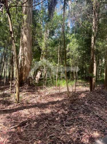 Terreno rústico de 4868,57 m2 em Maceda