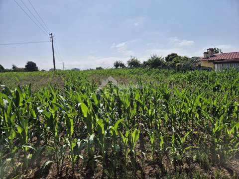 Terreno para construção em Arada
