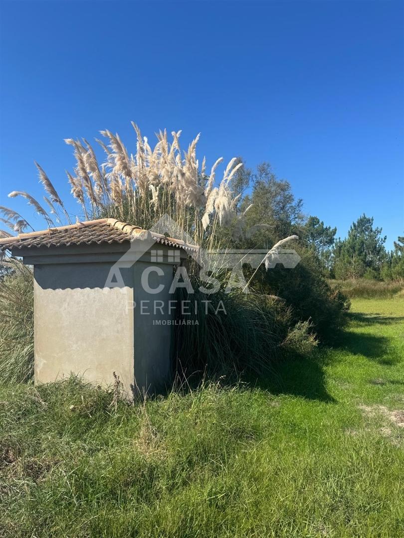 Terreno rústico junto à ria em Ovar