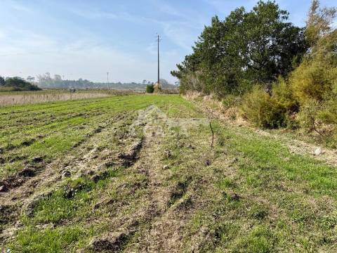 Terreno rústico junto à ria em Ovar