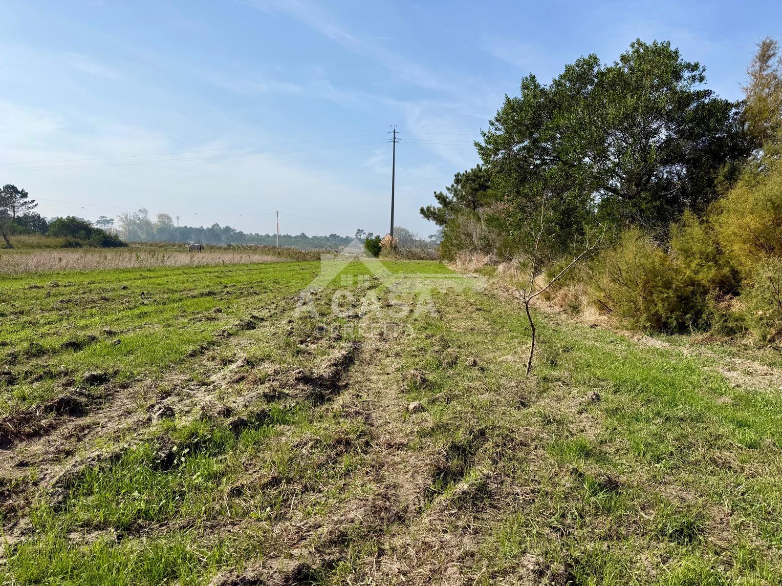 Terreno rústico junto à ria em Ovar