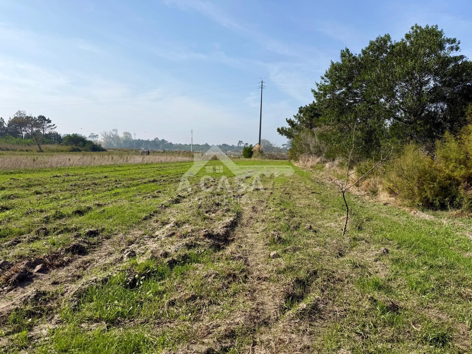 Terreno rústico junto à ria em Ovar