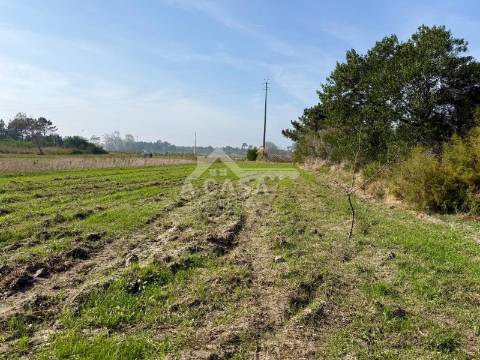 Terreno rústico junto à ria em Ovar