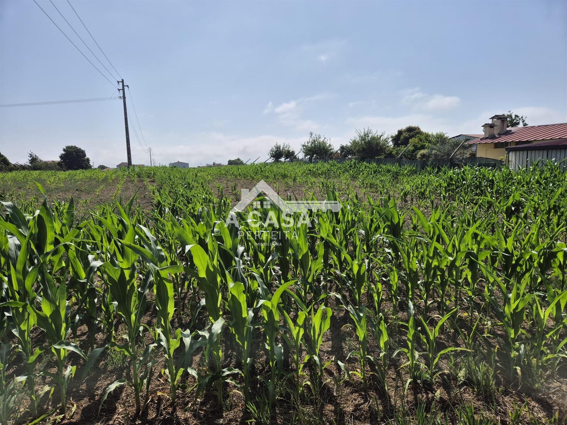 Terreno para construção em Válega