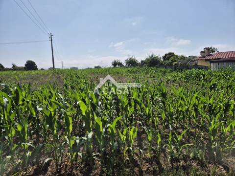 Terreno para construção em Válega